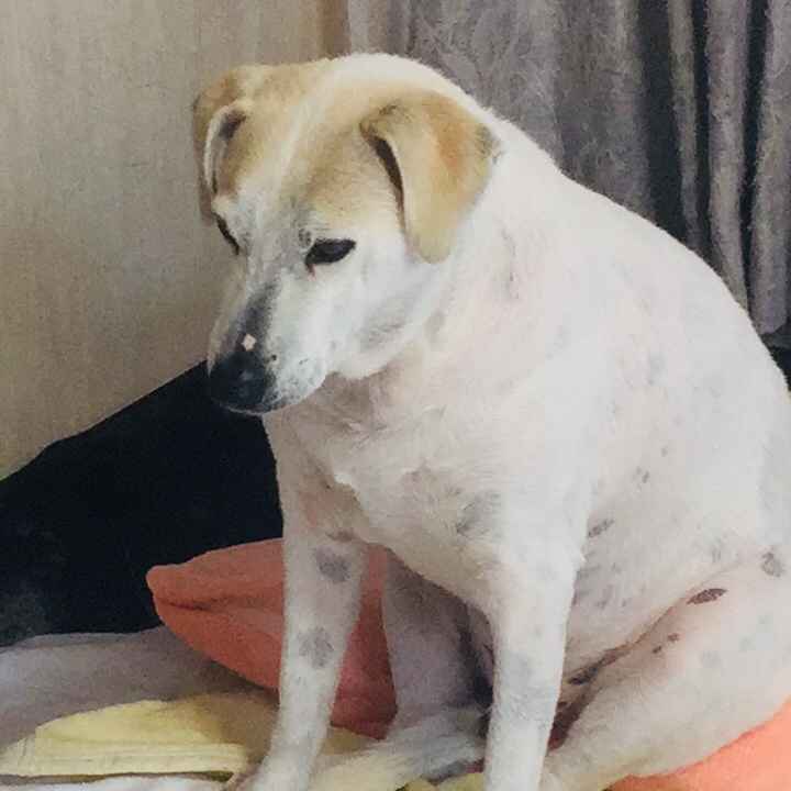 高単価を狙おう！