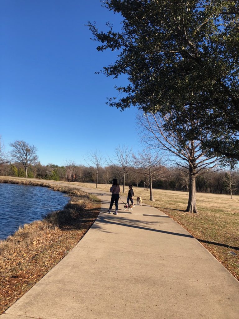 テキサス公園写真