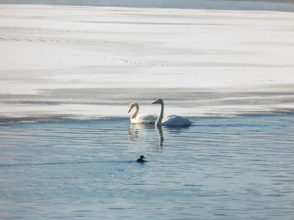 「できるようになった！」