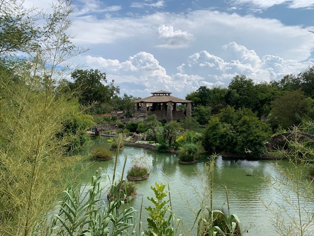 大学も在宅で。