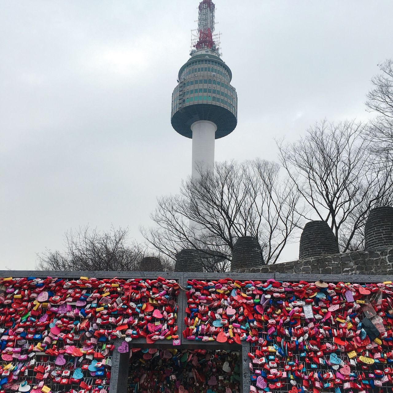 はじめての飛行機…