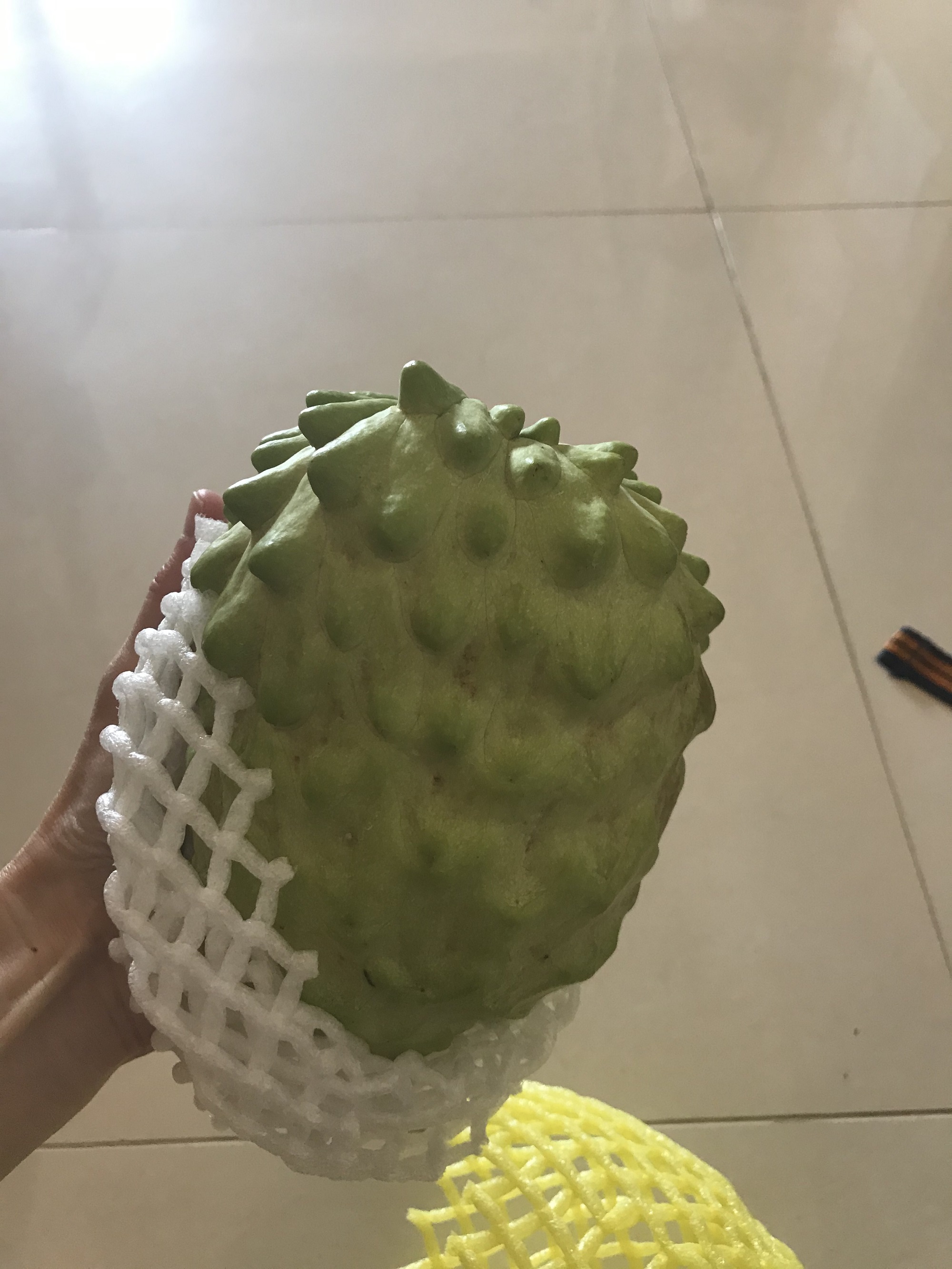 台湾　アテモヤ