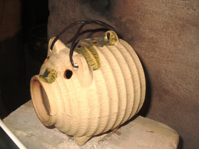 アルゼンチンの感染症について