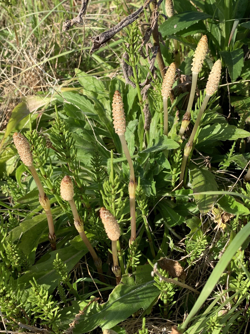 検索キーワードで出会った働き方