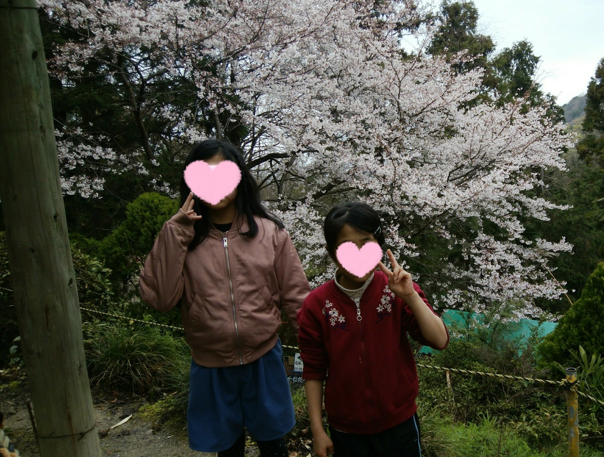 腰掛けOLしてました