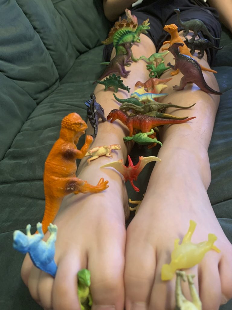 息子の恐竜