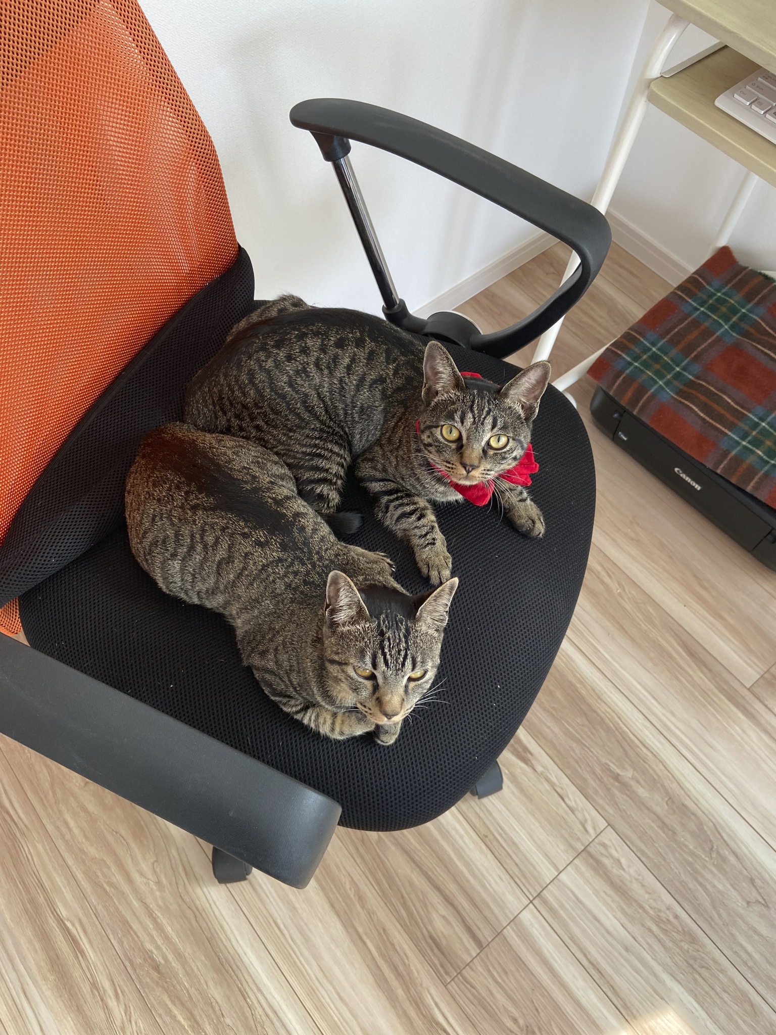 在宅ワークでも自己肯定感を高めていく