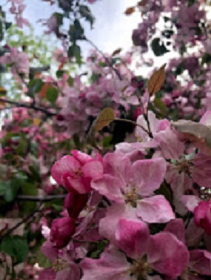 一念発起で在宅ワーク!!