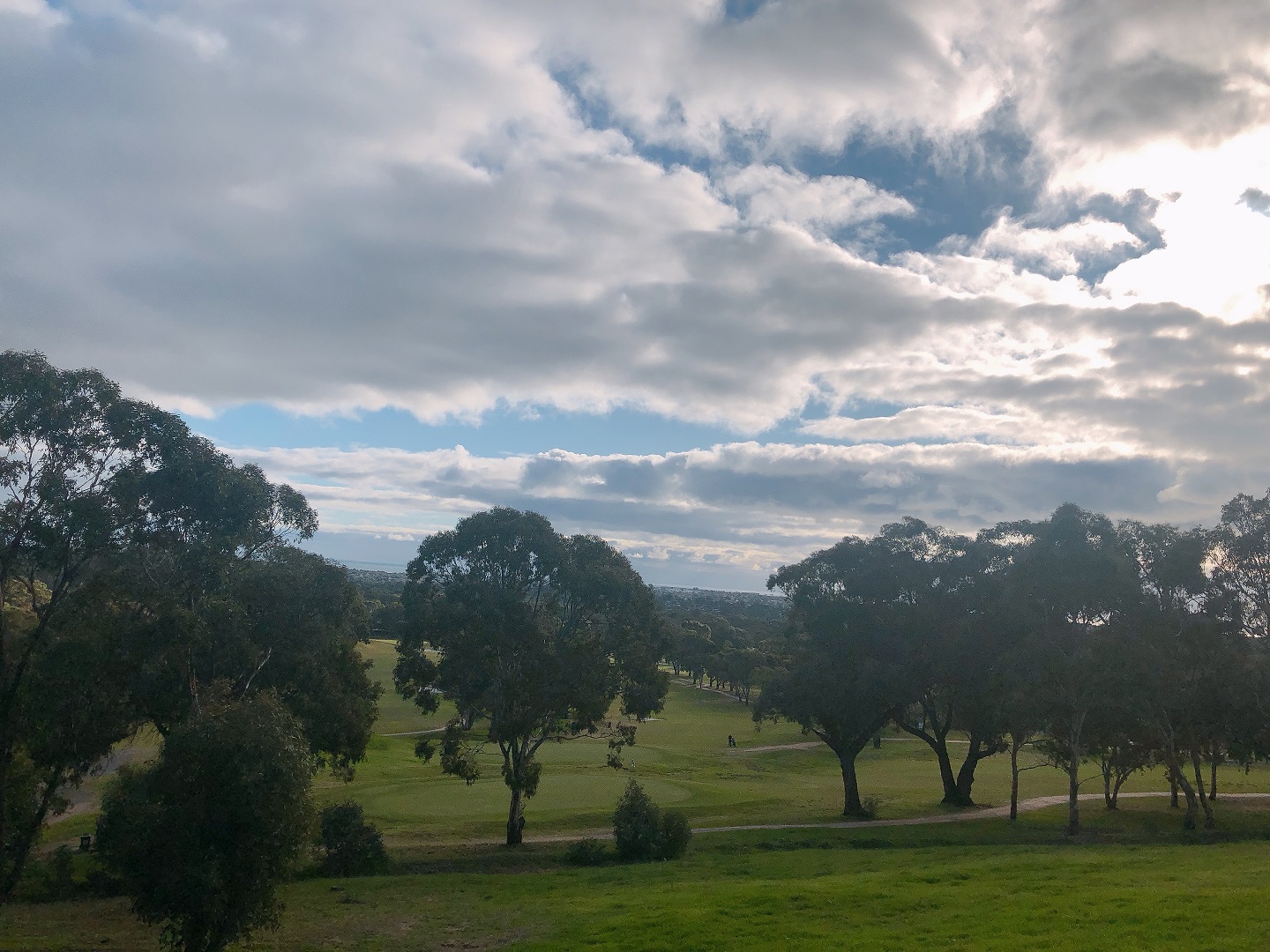 ゴルフで運動不足解消！