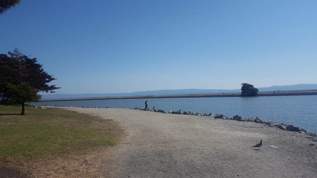 アメリカのビーチ