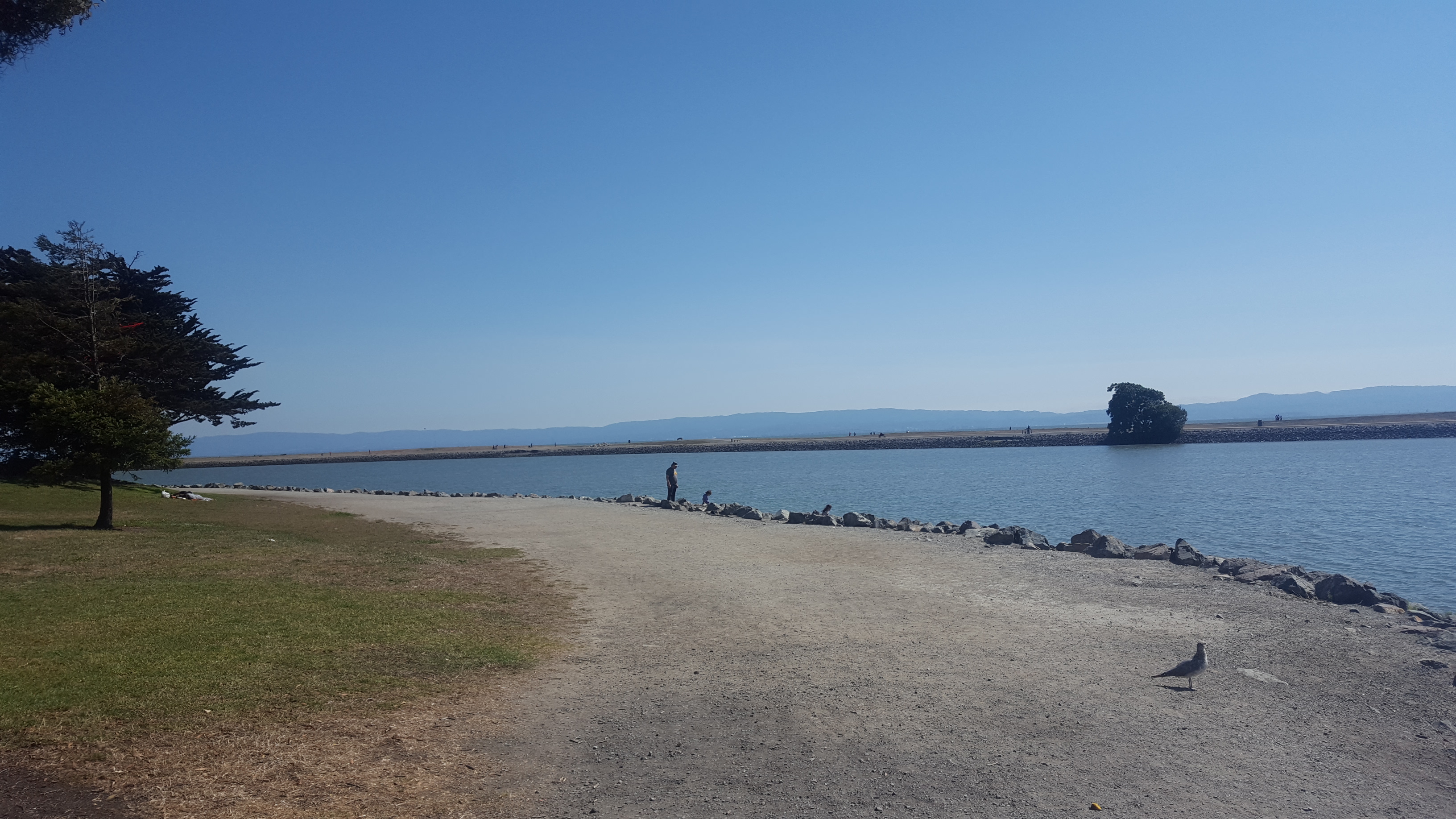 なんと！在宅ワーク1周年(*^^)v