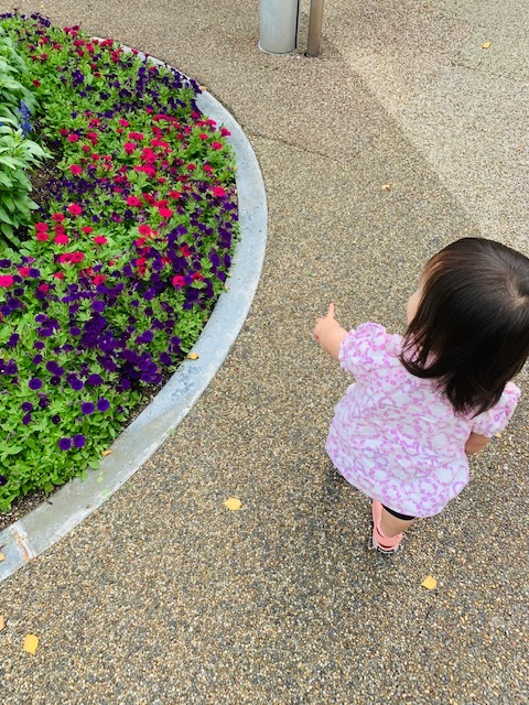 在宅ワークで一歩前進★★