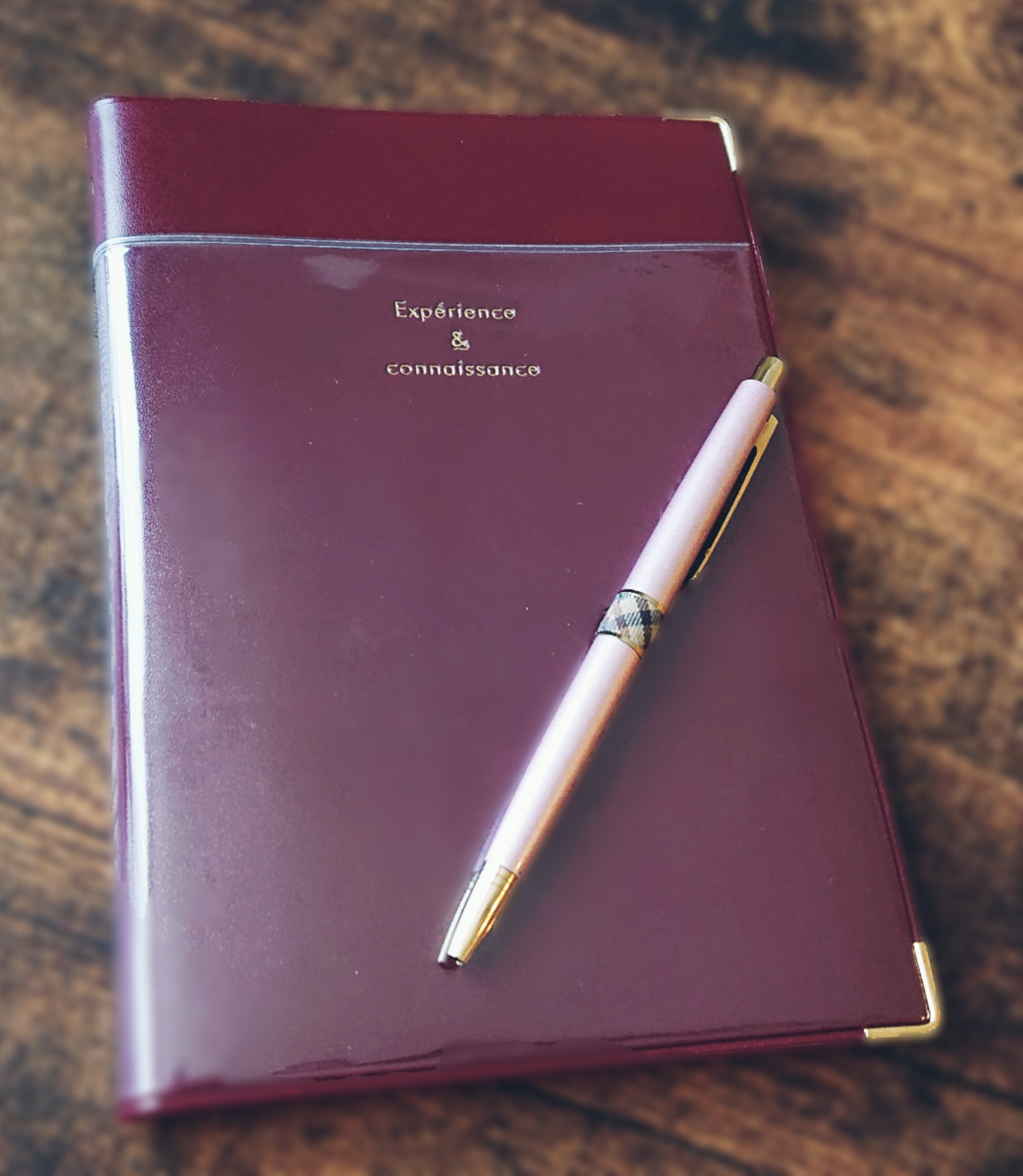 在宅ワークの開始、新人賞を頂きました‼