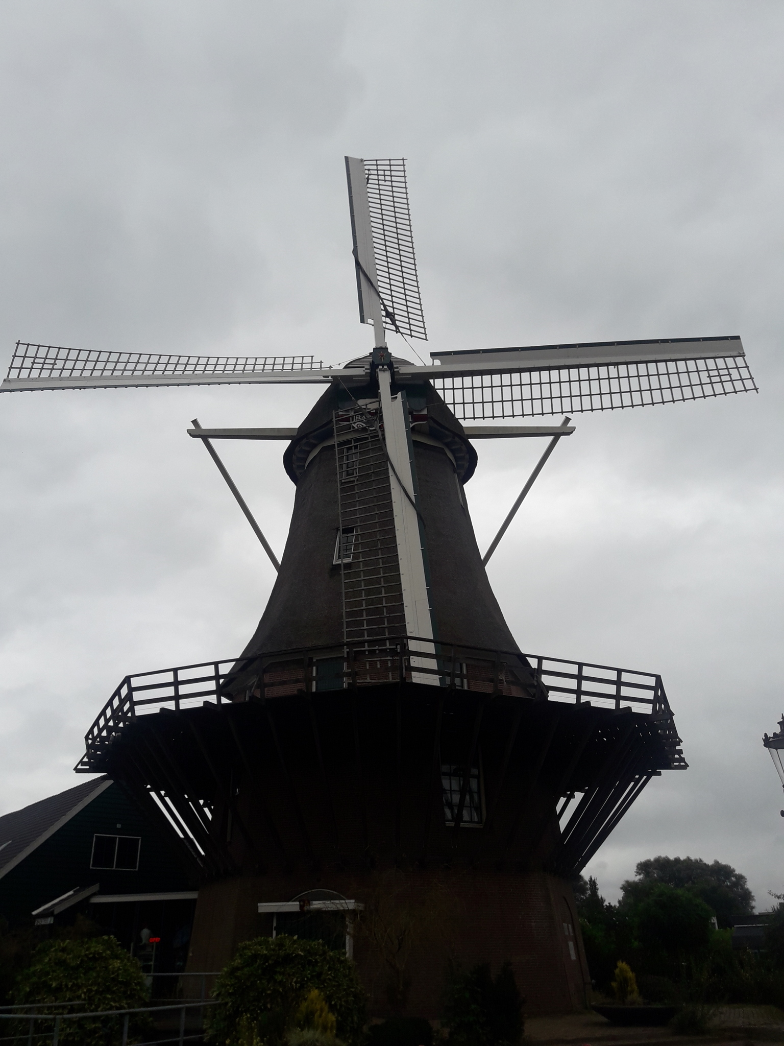 海外とコロナと在宅ワーク