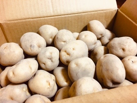 じゃがいも１箱