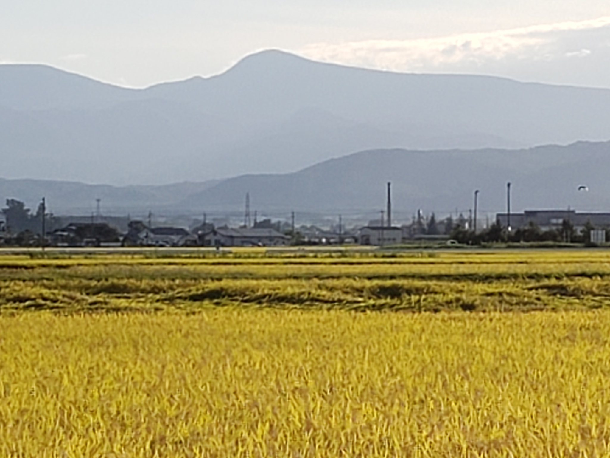 Ｗワークガンバっています！！