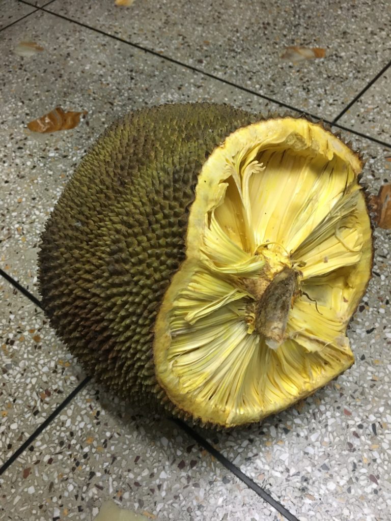 ジャックフルーツ