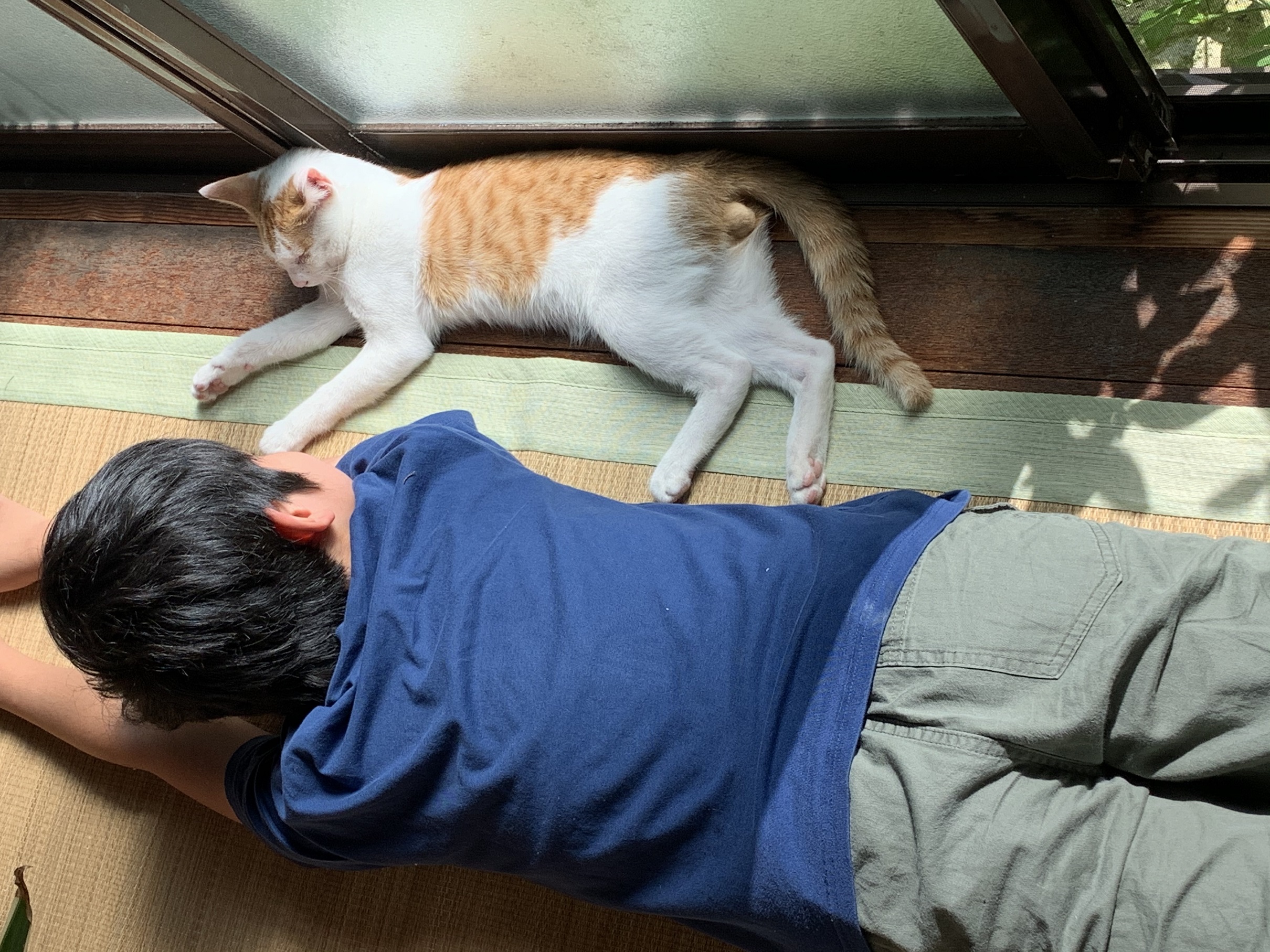 二つの素敵な出会い