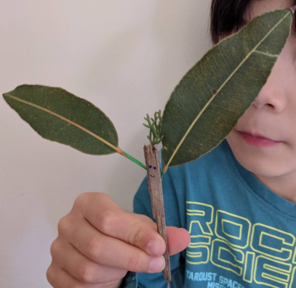 散歩中見つけた草木で「エルフ」した息子