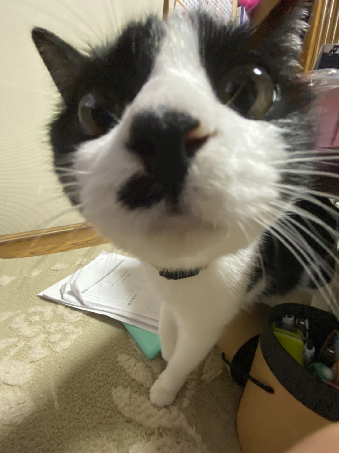 Withコロナだから手間抜き料理！