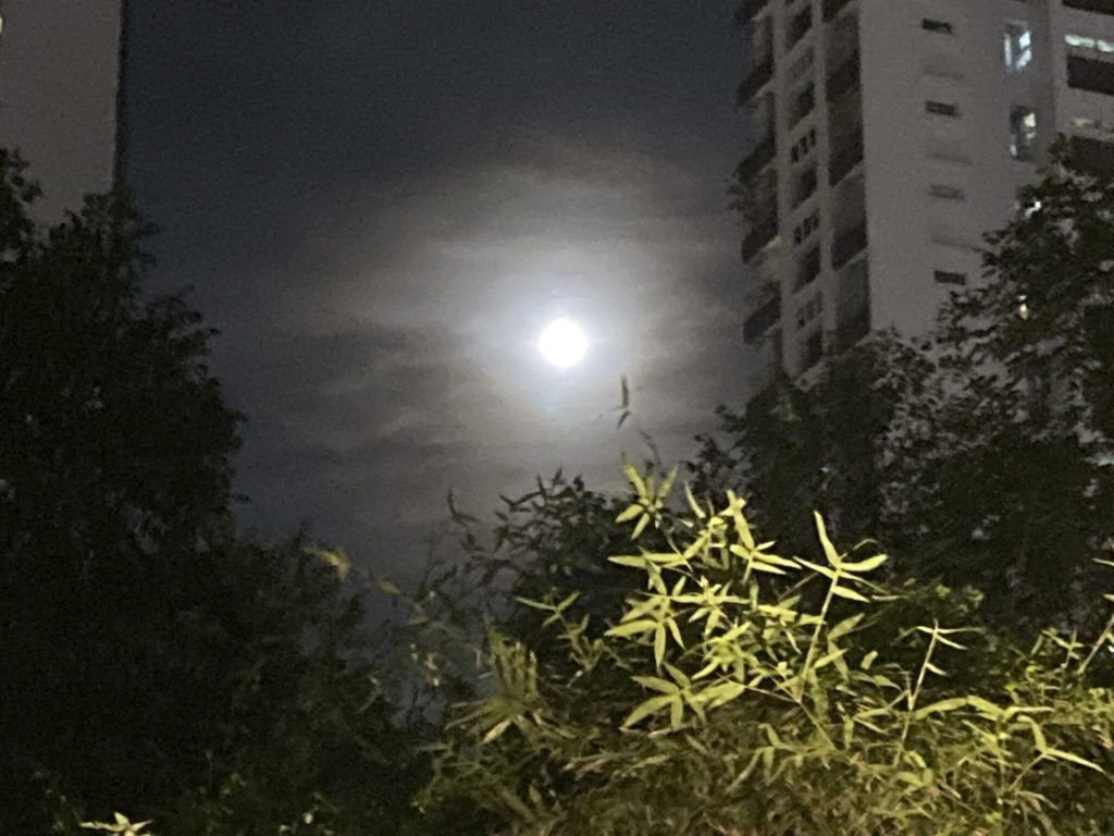 シンガポールの十五夜