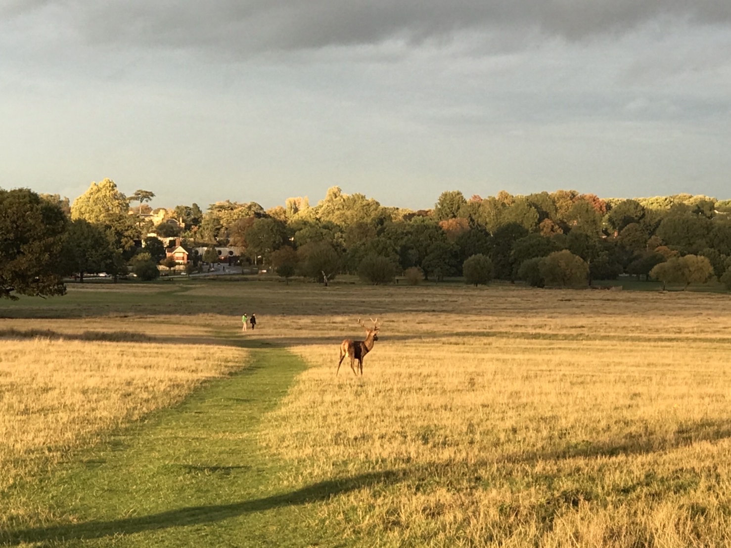秋のナショナルパーク（国立公園）の夕暮れ
