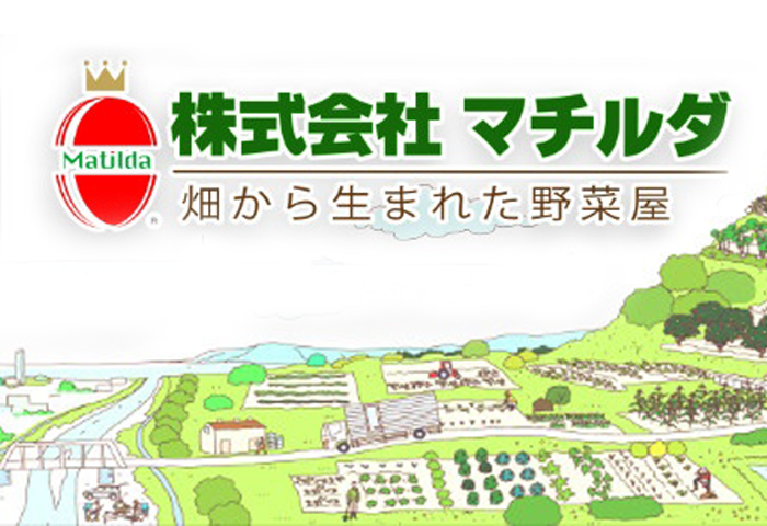 株式会社マチルダ様