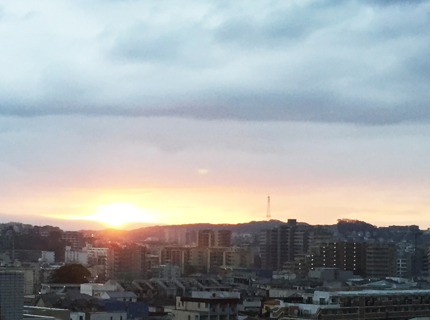 コロナ禍でサバイブする独身40代フリーランス