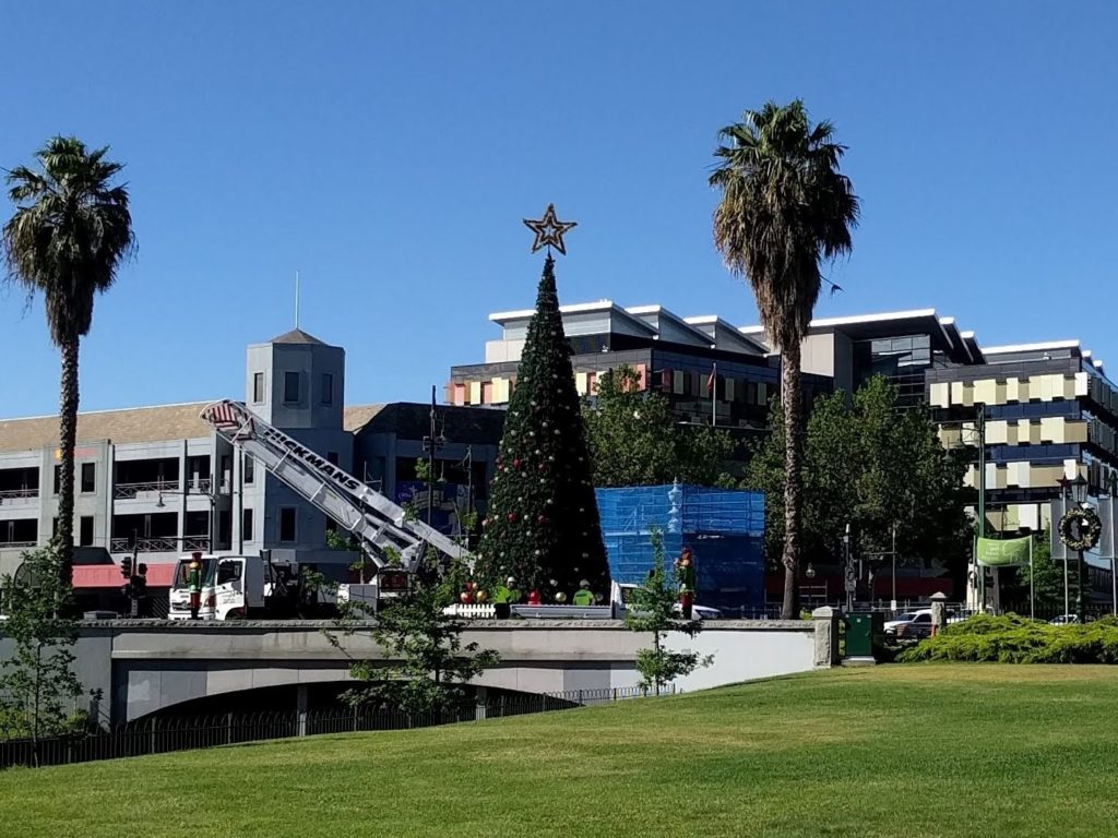 クリスマスリー