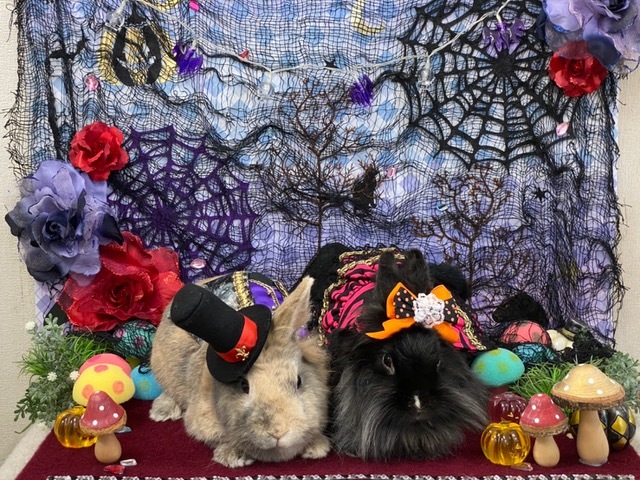 在宅ワークで私らしく働く