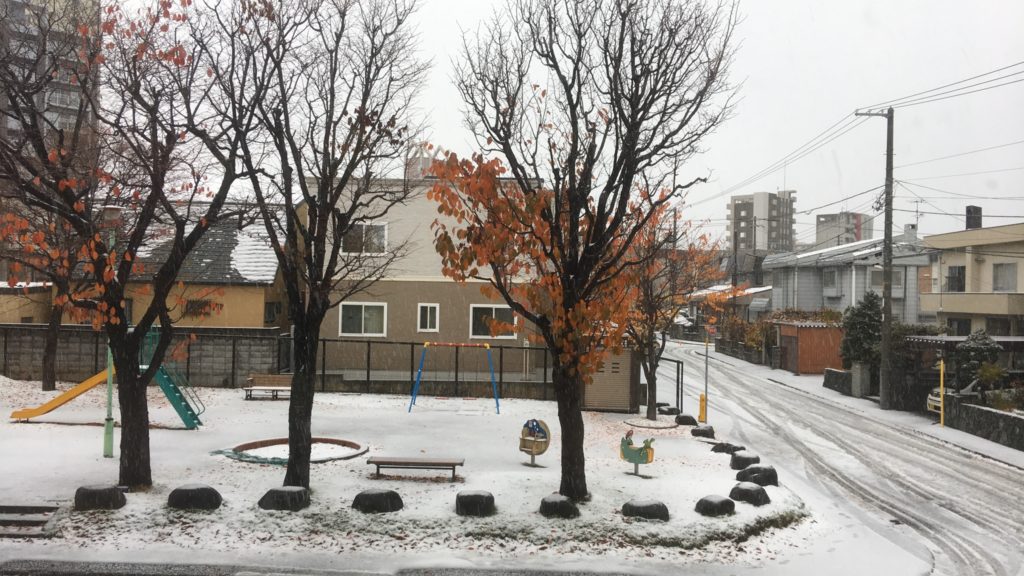 公園が雪で薄ら