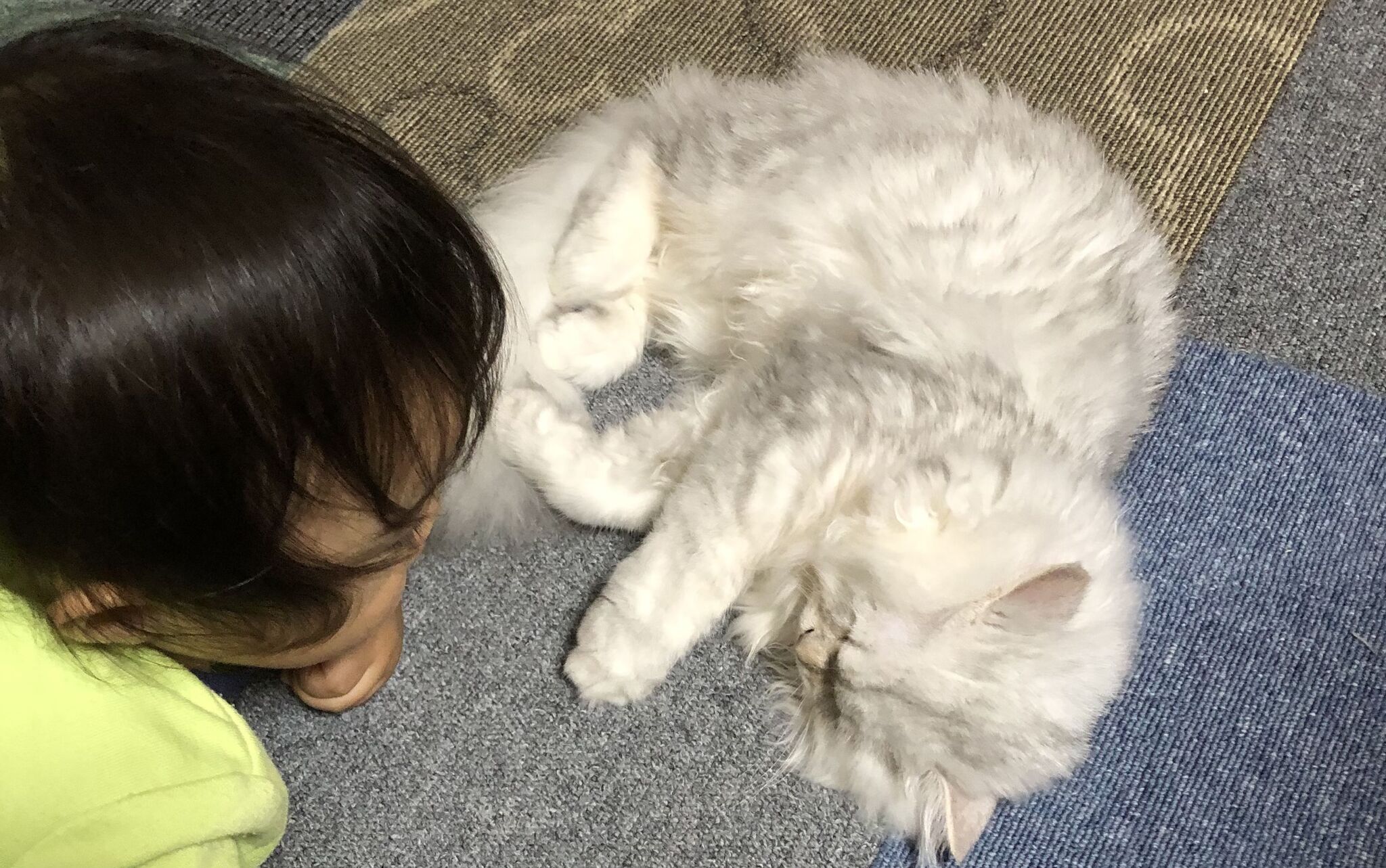 知識を詰め込んで成長へ~私と次男~