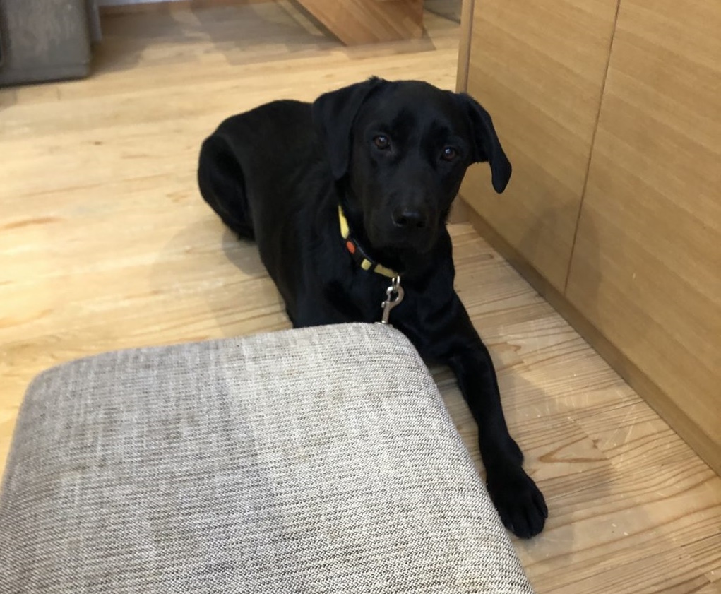 あれ?なんだか近づいて来たような気が・・・。