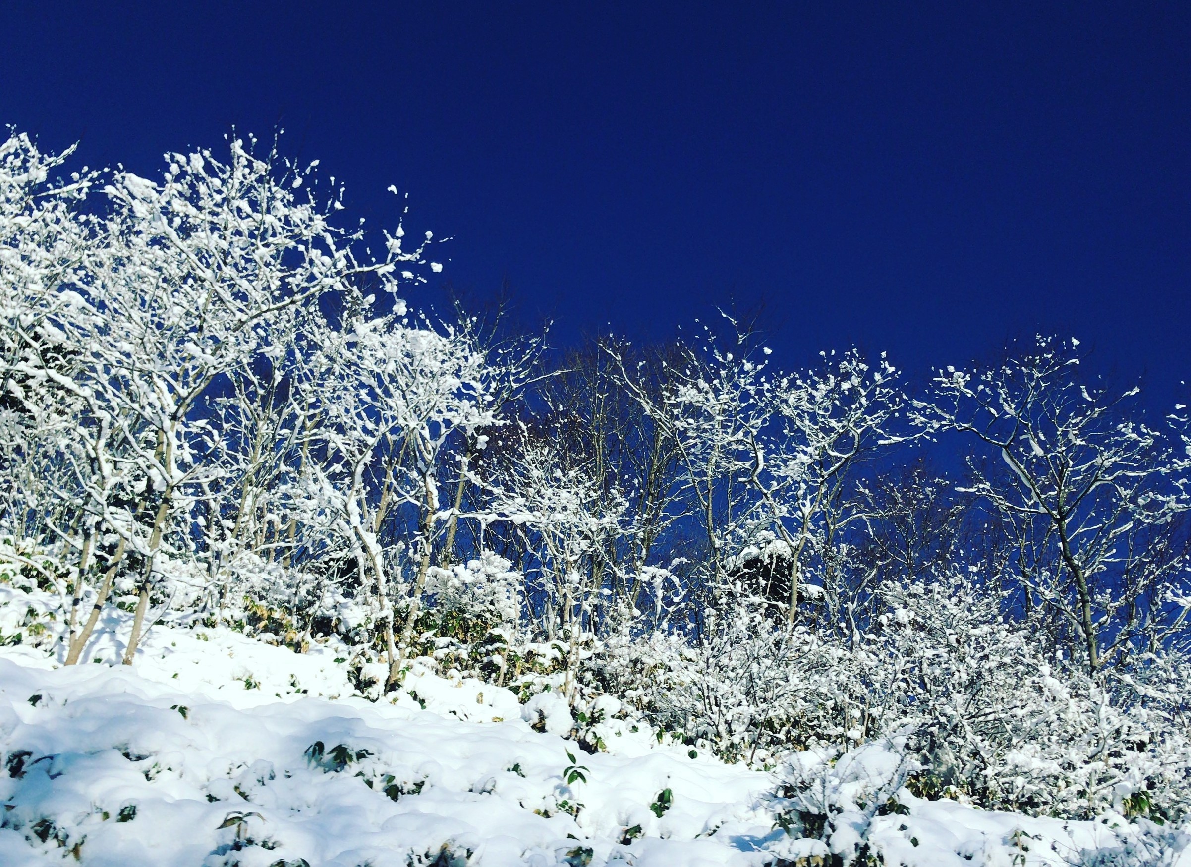 看護と在宅ワークの共通点