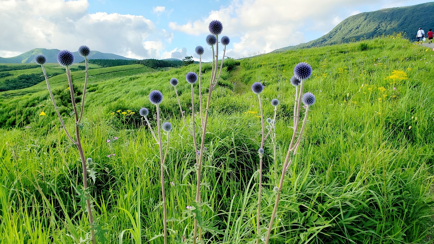 2020年の振り返りと2021年の抱負【リーダー業務を通してマネジメント力up】