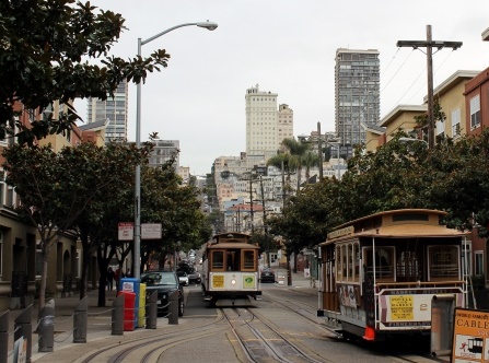特集!サンフランシスコ・ベイエリアのおすすめ観光スポット~定番から穴場までご紹介~