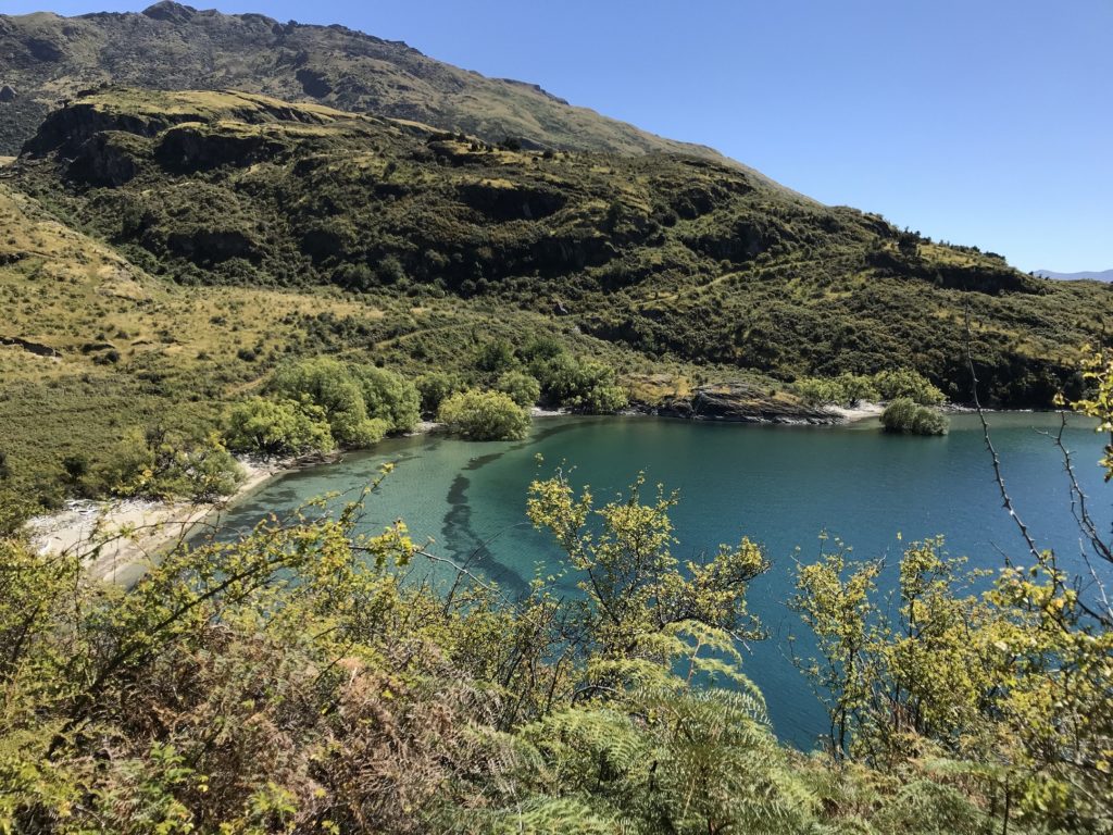 ハイキングコース