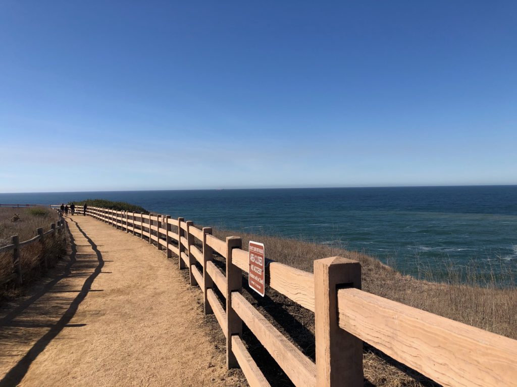 カリフォルニアの海