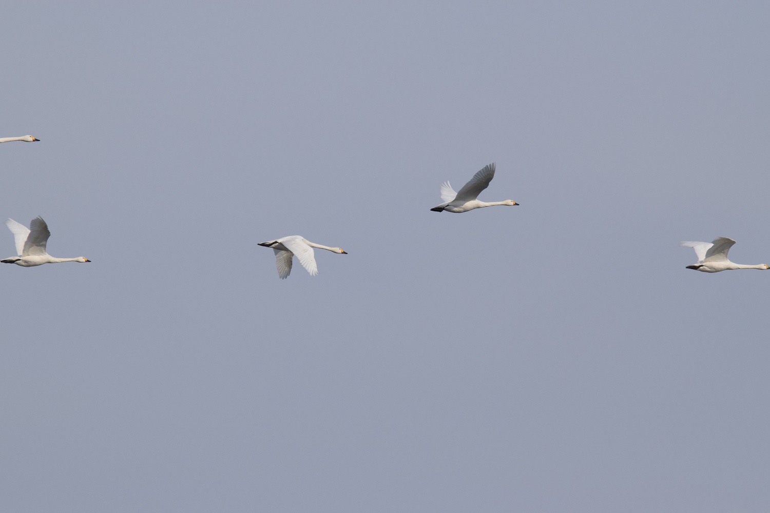 仕事も自分時間も楽しみたい、在宅ワーカーのキモチ