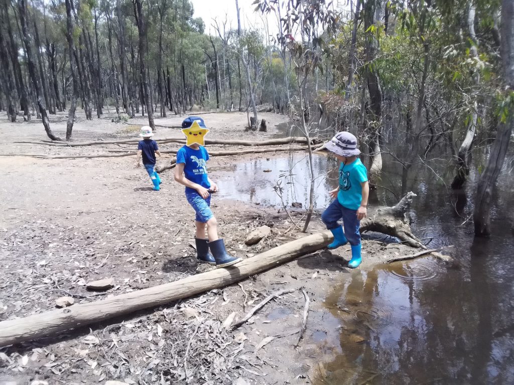 子供たちと近所の池へ散歩