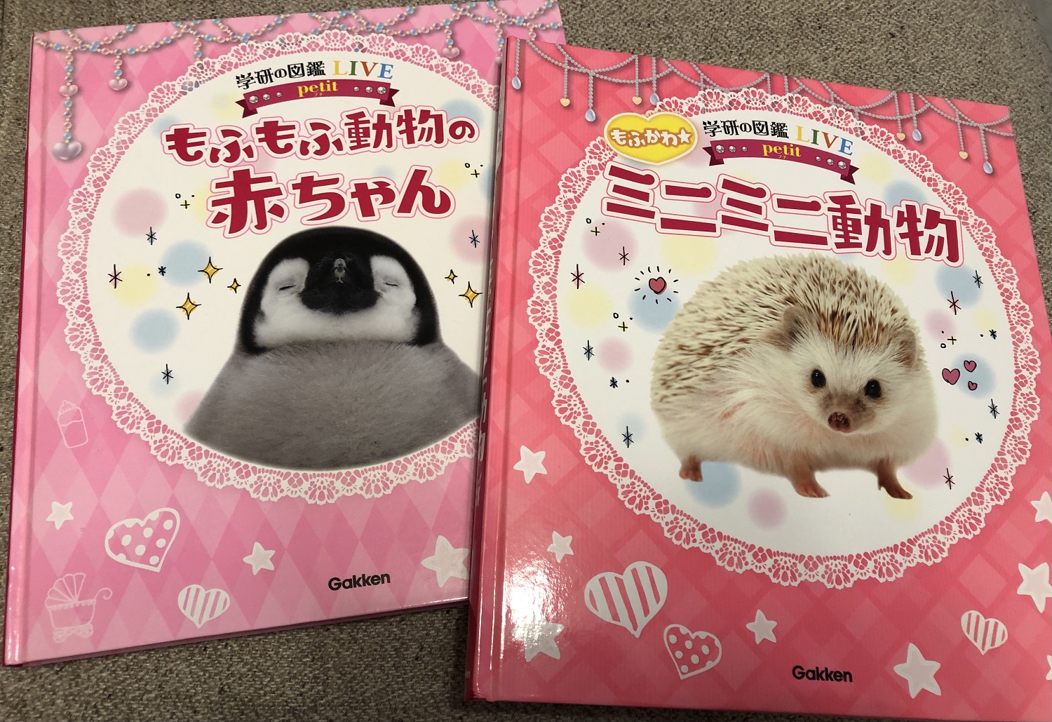 好きという気持ちを大切に！