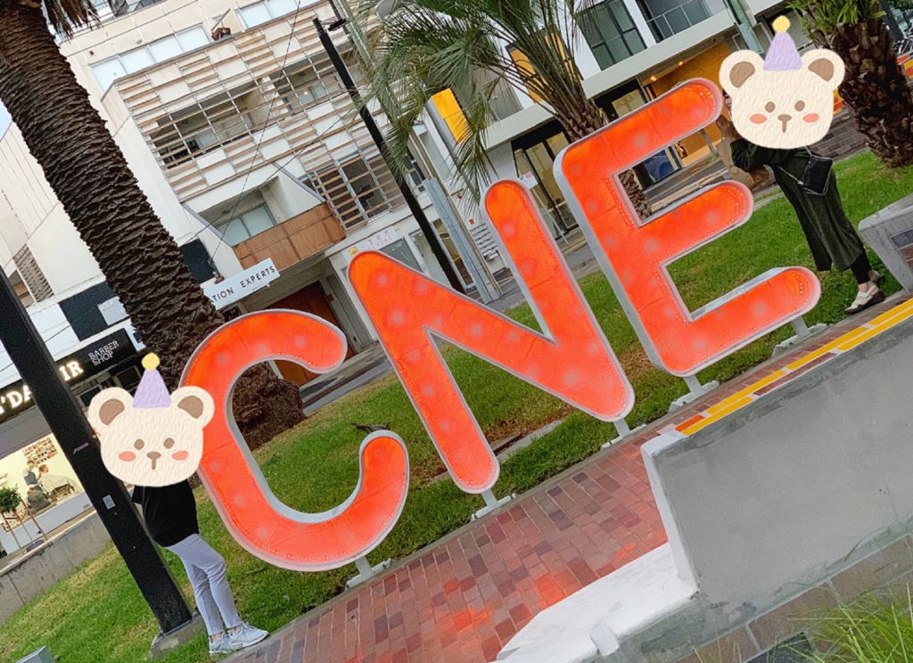 カーネギーの場所で