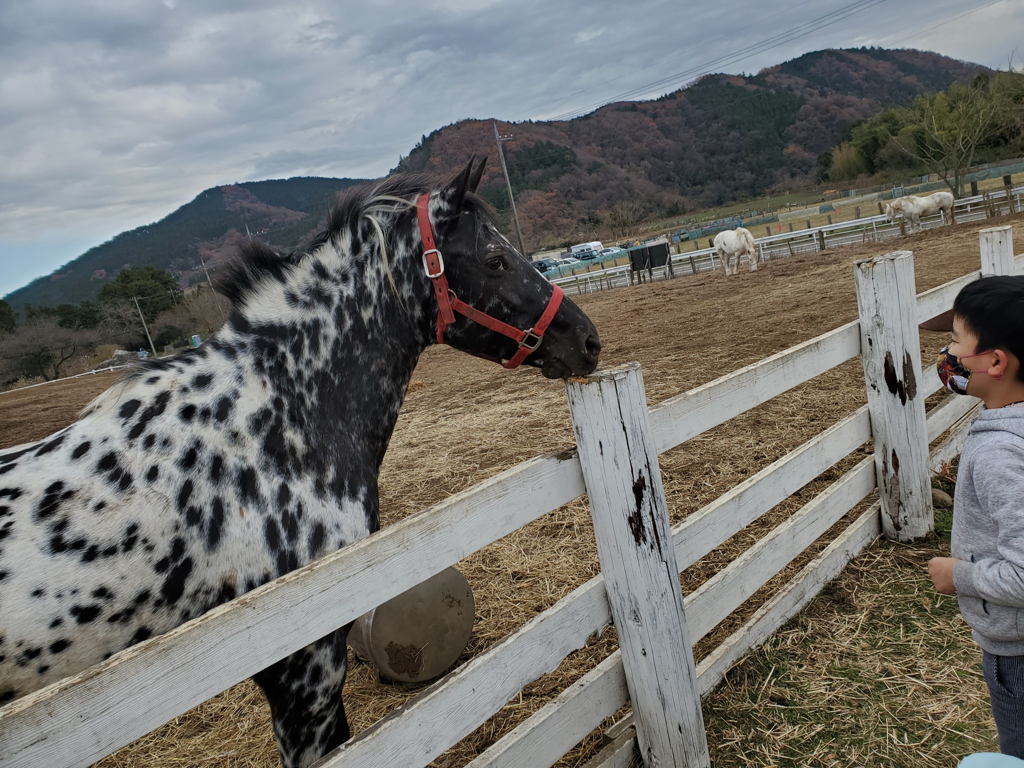 在宅ワークと息抜き