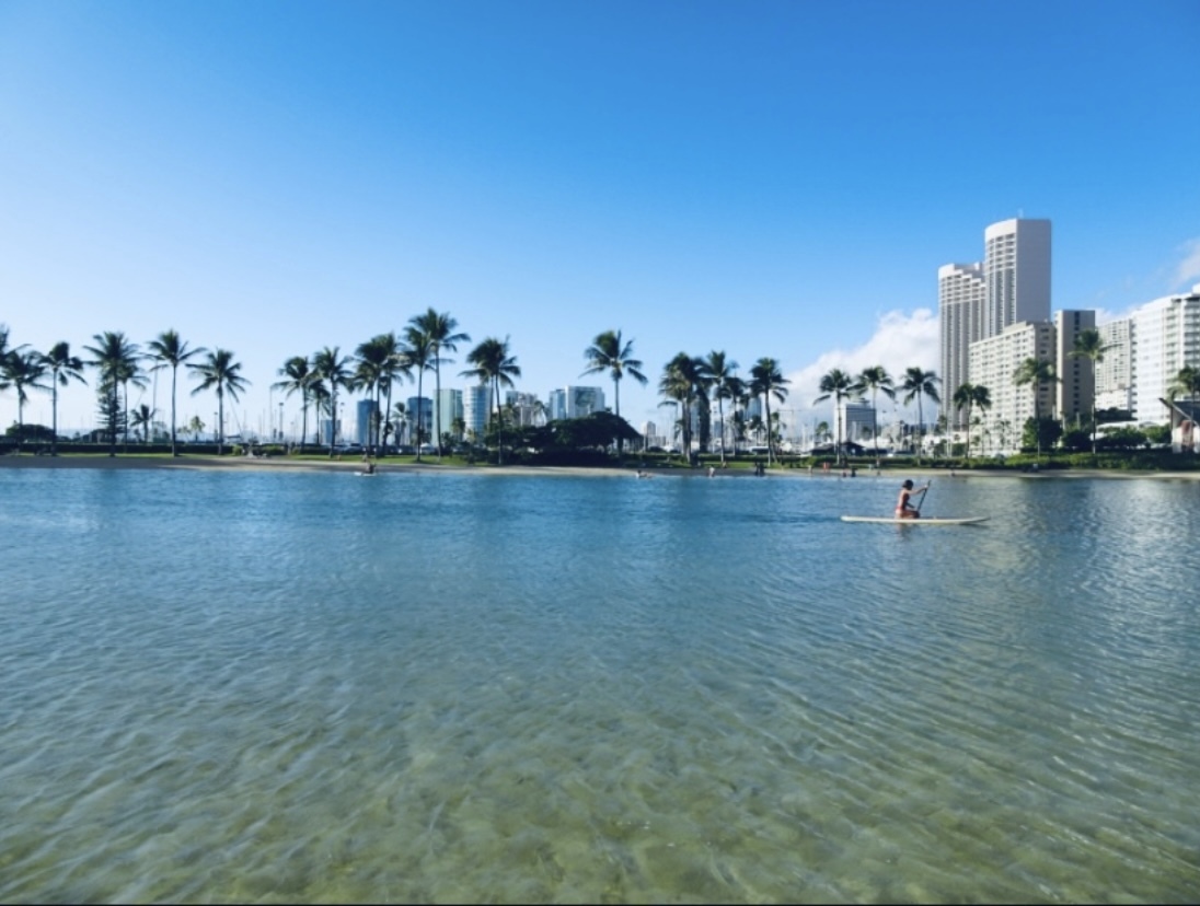 在宅ワークのあいまに・・・