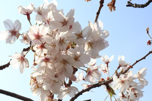 在宅ワークを始める前の疑問解消と、始めたきっかけ