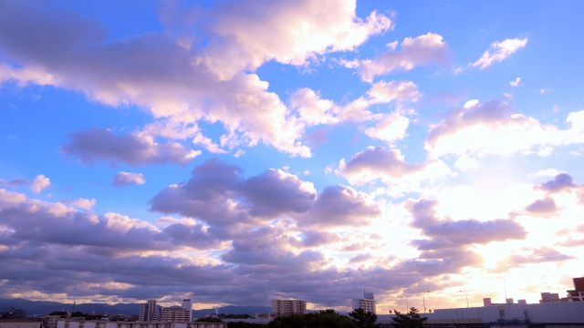 Mamasan&Companyとのお付き合い