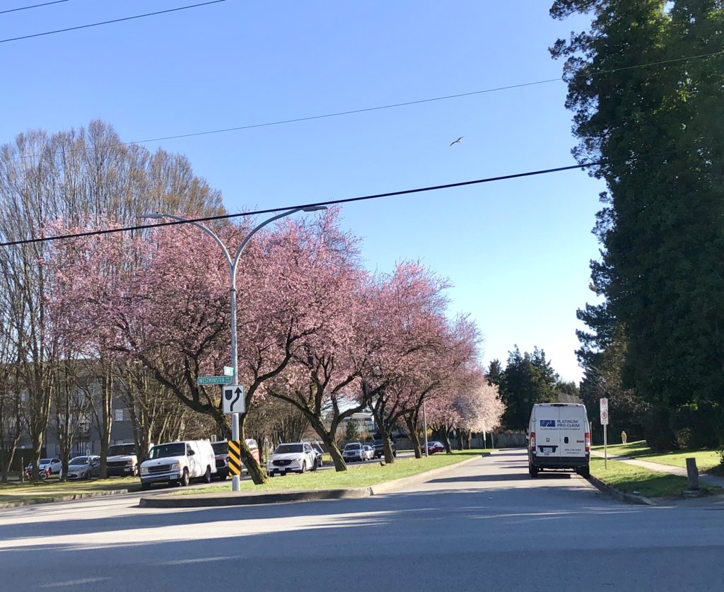 カナダの街並み