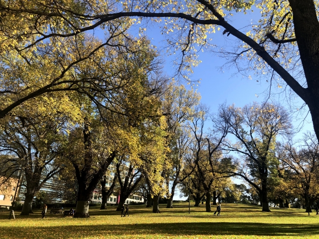 メルボルンの秋は…？