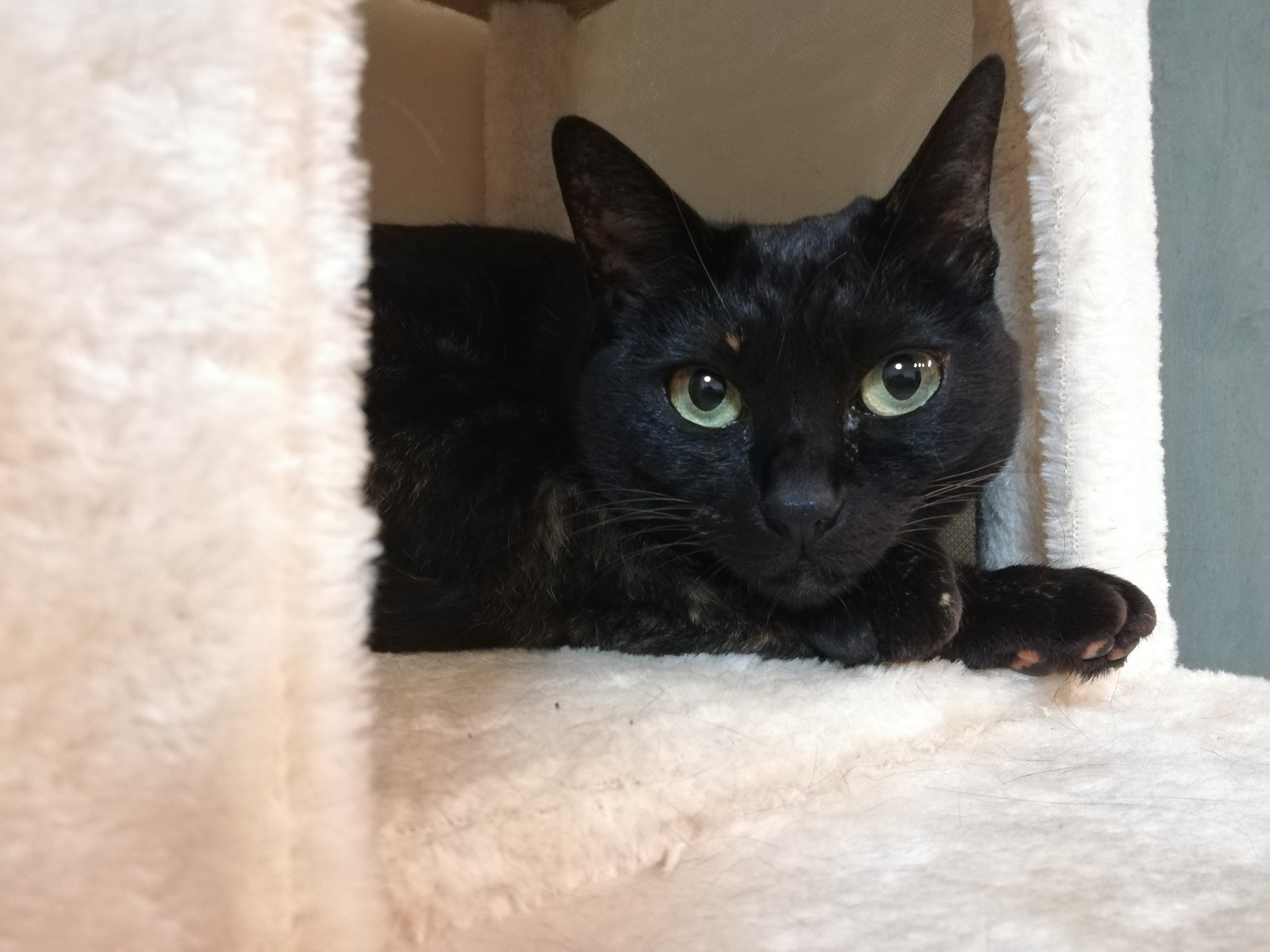 新人賞、受賞しました!