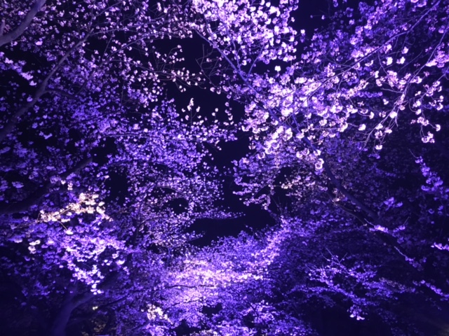 歴史あふれる町、新潟県上越市